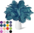 NEWONG 30pcs Blue-Green Ostrich Feathers Natural Bulk 9-12inch Vase Craft by NEWONG