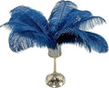 Happy Feather 16-18 inch Ostrich Feathers Craft by SupplyHighQualityFeathers