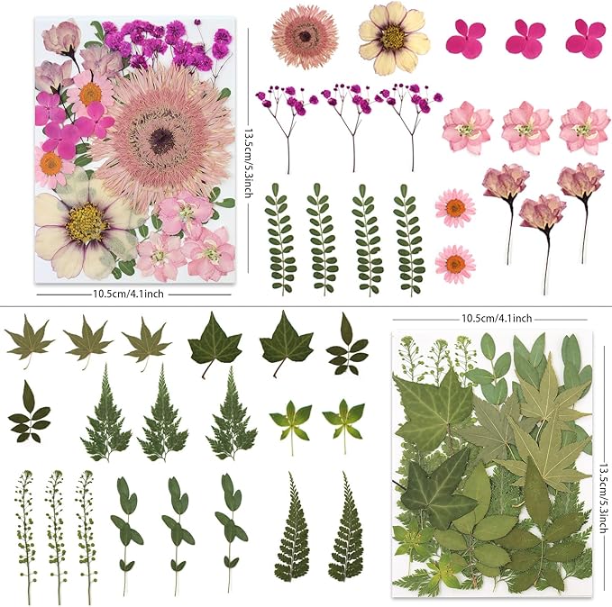 80 Pcs Dried Pressed Flowers for Crafts, Natural - Image 3