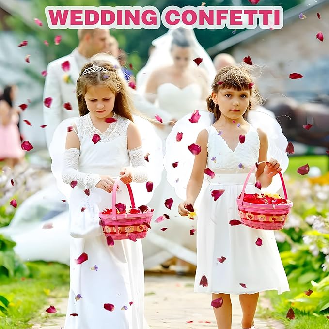 20 Pack Biodegradable Confetti, Dried Flower Petals, Biodegradable Flower Petals - Image 8