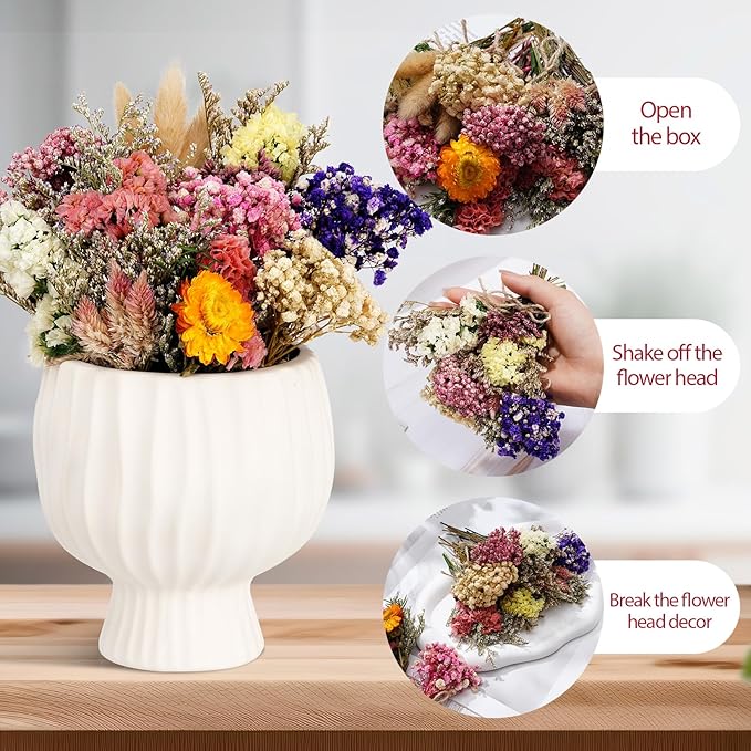 10/12/24/36 Pack Mini Dried Flowers - Image 4