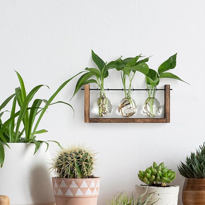 YIBOT Plants Propagation Stations, Plant Terrarium - Image 3