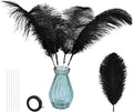 Bulk Black Ostrich Feathers by whitefeather
