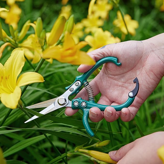 Modern Sprout Pruning Shears - Image 6