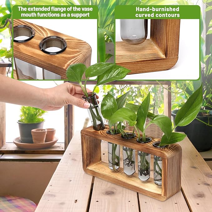 Glass Plant Propagation Station - Image 4