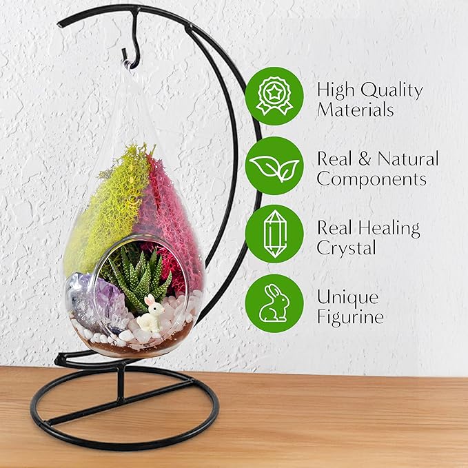 7" DIY Teardrop Terrarium Kit - Image 4