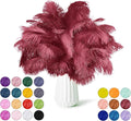NEWONG 30pcs Wine red Ostrich Feathers Natural Bulk 9-12in（23-30cm） Vase Craft by NEWONG