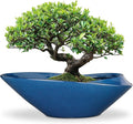 Bonsai Pot - 18 Inch Ceramic Planter by EPFamily