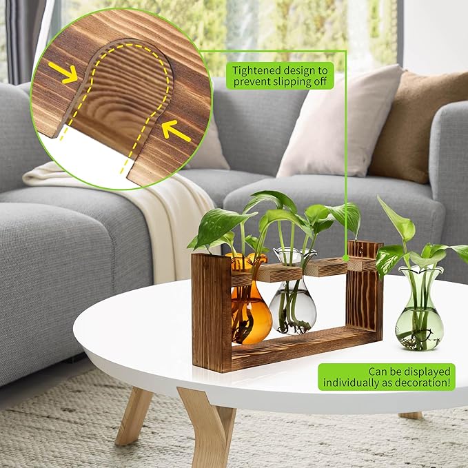 Plant Propagation Station Plant Terrarium Unique Birthday Gifts - Image 5