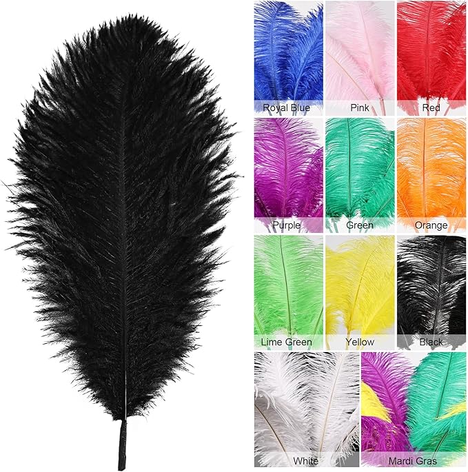 Bulk Black Ostrich Feathers - Image 2