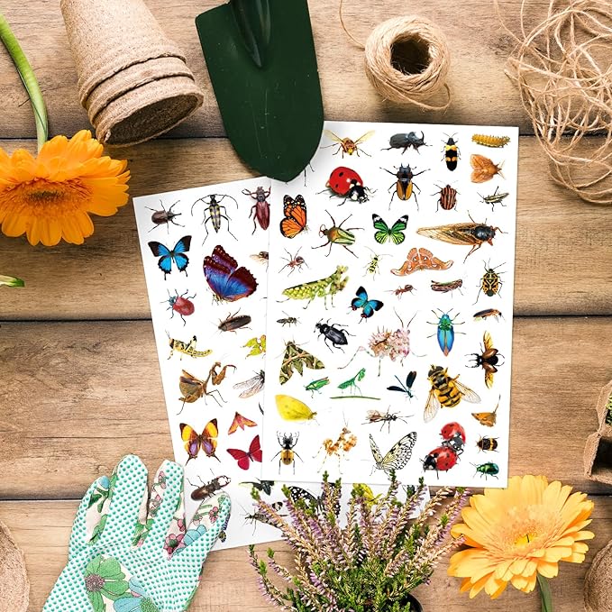Insect Animals Stickers 840 Count Insect Bug Butterfly Animal Stickers Party - Image 5