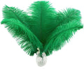 Ballinger Craft Green Ostrich Feathers by Ballinger