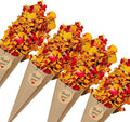 PATIKIL Dried Flower Confetti Cones by PATIKIL