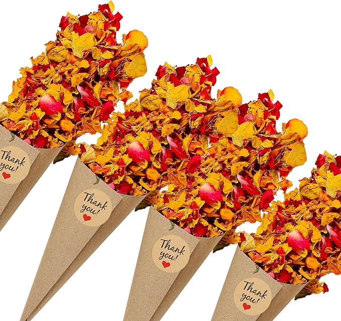 PATIKIL Dried Flower Confetti Cones by PATIKIL