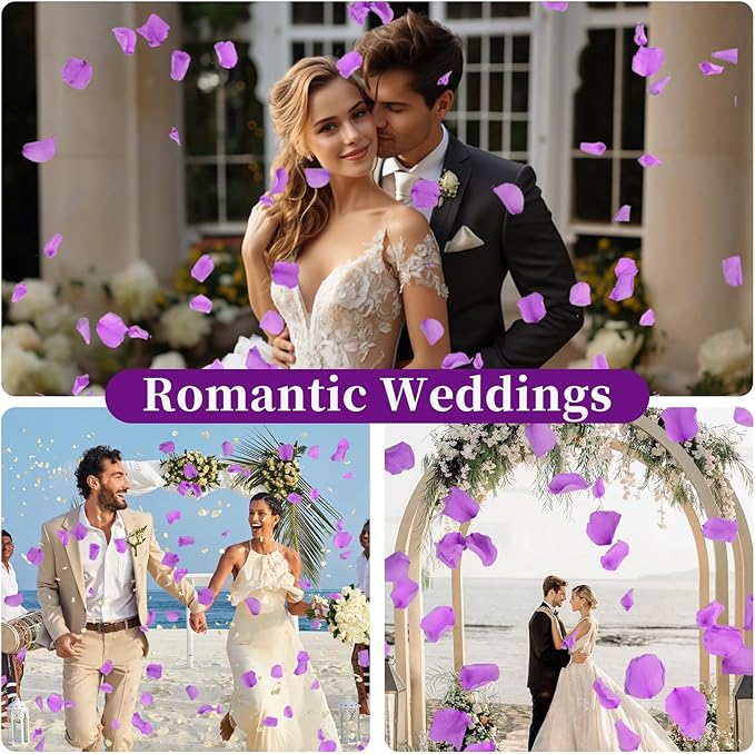 180 PCS Real Purple Rose Petals - Image 3