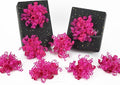 HUIHUANG Hot Pink Bows for Gift Wrapping Curly Gift Bow 5 inch x 8 Counts by HUIHUANG