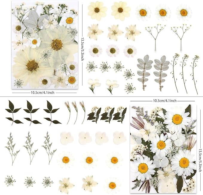 100P White Foliage & Flower Mix Dried Flowers - Image 2