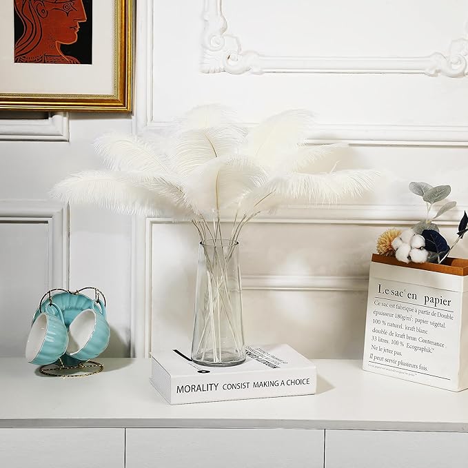 Holmgren Beige Ostrich Feathers Bulk - Image 6
