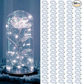 ZGWJ 100 Pack Fairy Lights Battery Operated, 7ft 20 Mini LED Fairy String by ZGWJ