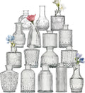 Glass Bud Vase Set of 16 Pcs Small Minimalist Vases by Tahnach