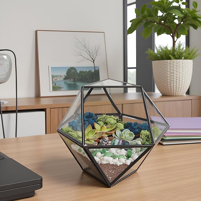 DIY 7" Geometric Terrarium Kit - Image 6