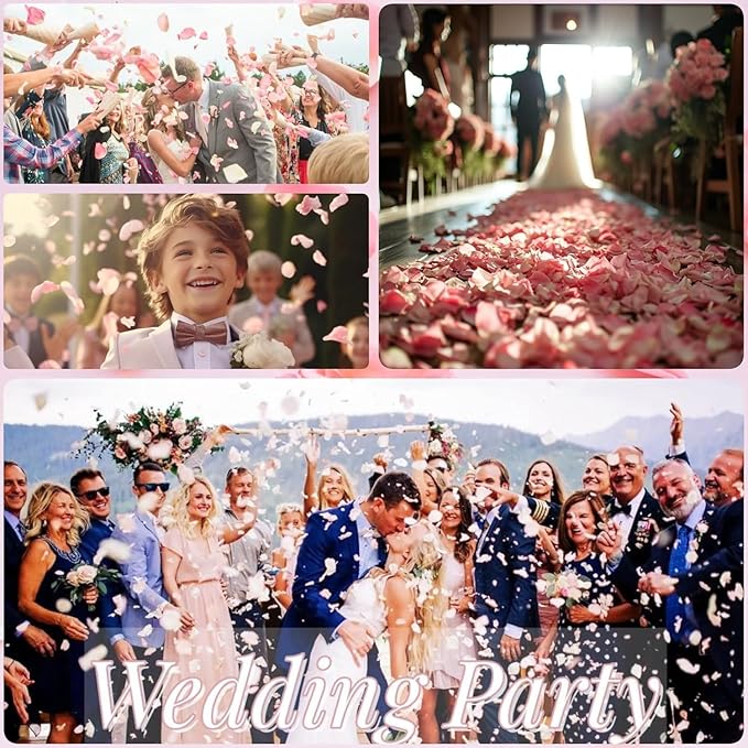 180 PCS Real Pink Dried Rose Petals Confetti - Image 5