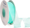 Ribbli Aqua Blue Organza Ribbon, 1 Inches x Continuous 50 Yard, Cookie Wrapping by Ribbli
