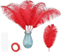 Bulk Red Ostrich Feathers by whitefeather