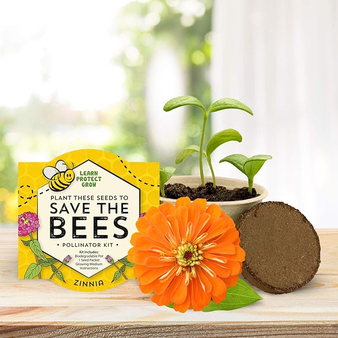 Buzzy Seeds Save The Bees Biodegradable Grow Kit | Herb, Flower Starter Kit - Image 7