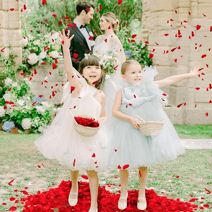 1500Pcs Real Dried Red Hydrangea Flower Petals - Image 7