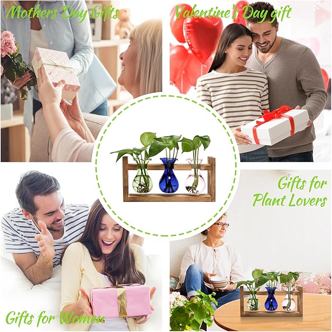 Plant Propagation Station Plant Terrarium Unique Birthday Gifts - Image 6