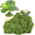 Fake Green Moss for Plants Indoor, 5.3OZ Artificial Moss for Potted Plants Decor by Draupnir