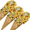 PATIKIL Dried Flower Confetti Cones by PATIKIL