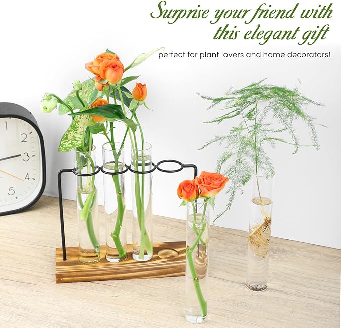 Plant Propagation Station, Glass Tubes - Image 2