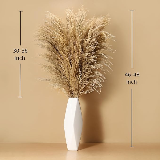 9 Stems Pampas Grass Decor Tall 48''/4 FT, Long Fluffy Dried Pompas Grass - Image 3
