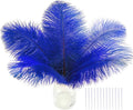 SOGUGOM Blue Craft Ostrich Feathers by SOGUGOM