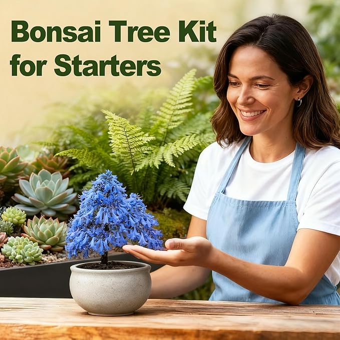 5 Pack Bonsai Tree Kit - Image 4