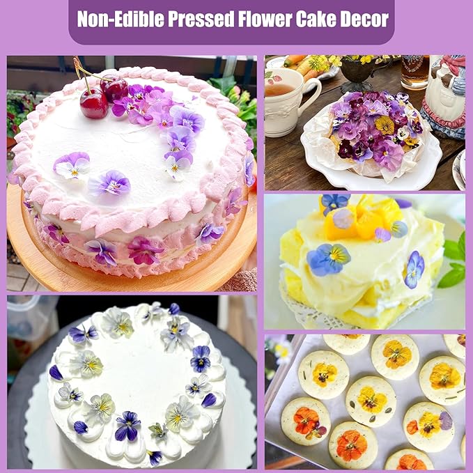 64 Pcs Dried Pressed Viola Flowers, 8 Color Gradient Purple Blue Yellow White - Image 3