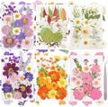 120Pcs Dried Pressed Flowers for Resin Mould Dry Flower Real Leaves Bulk by Gvhntk