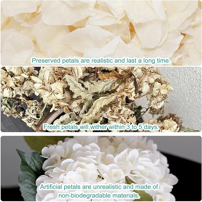 Dried Real Hydrangea Petals, Natural Preserved Dry Flower Petal - Image 8