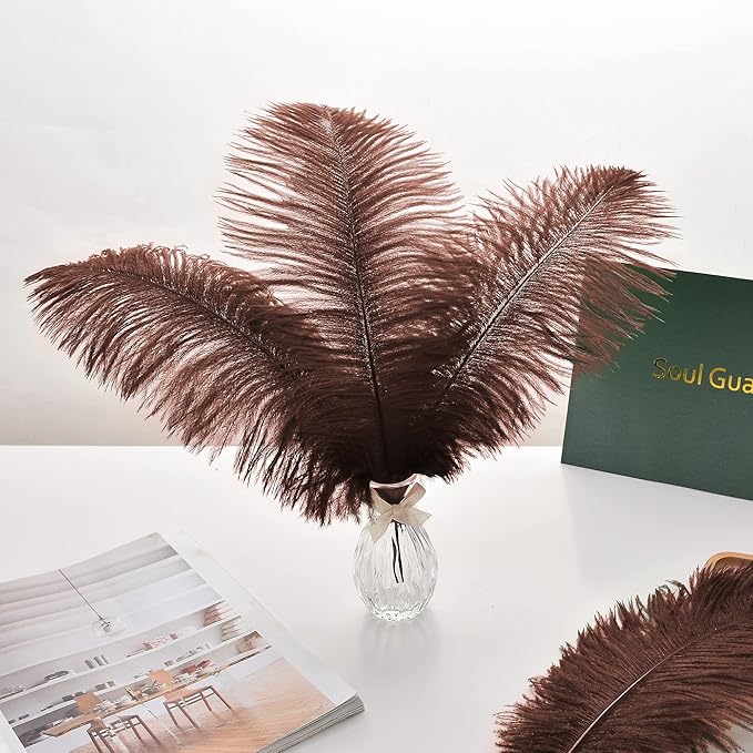 Ballinger Brown Ostrich Feathers Bulk - Image 7