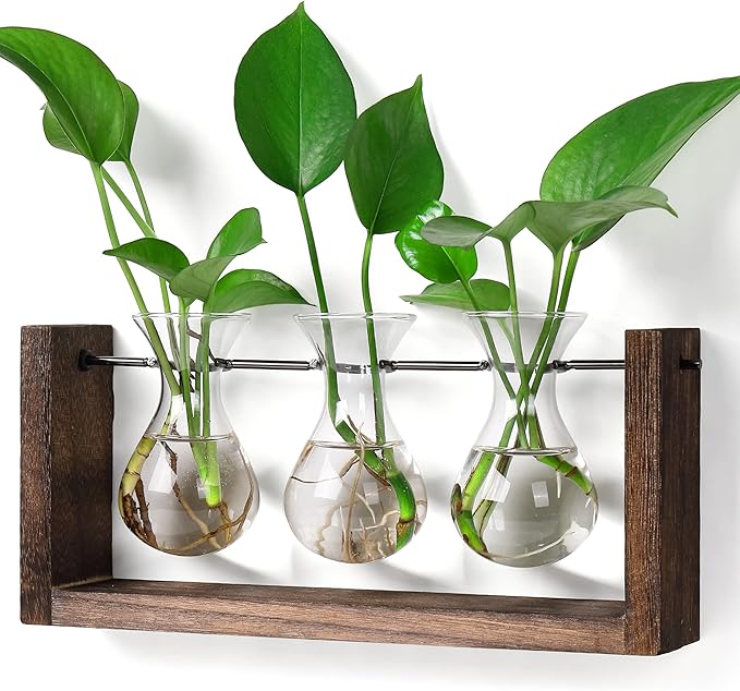 YIBOT Wall Hanging Planter Propagation Station, Plant Terrarium by YIBOT