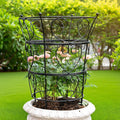 Large Obelisk Trellis Peony Cage 24.6x17 Inches by Goooxim
