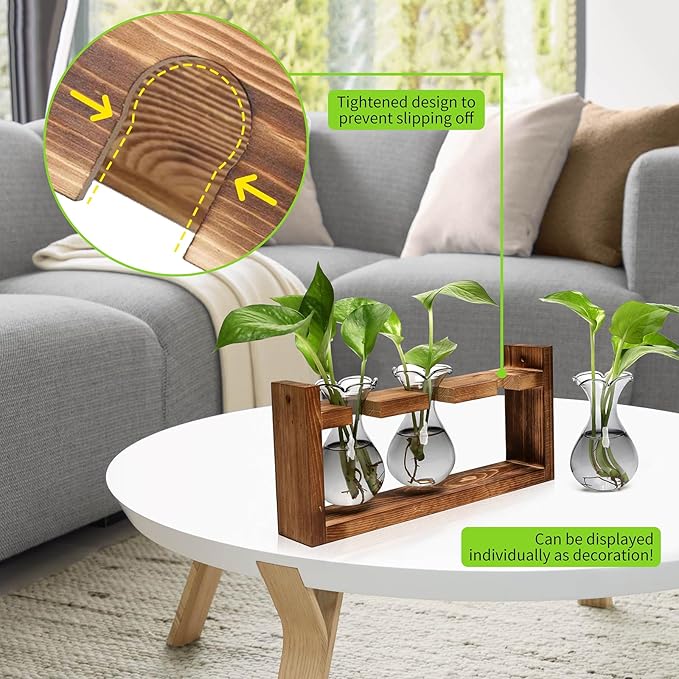 Plant Propagation Station Plant Terrarium Unique Birthday Gifts - Image 5