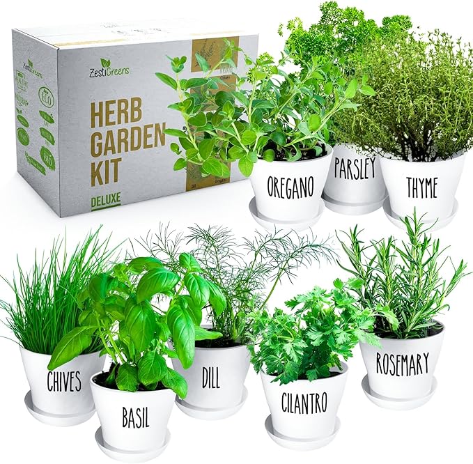 Deluxe Indoor & Outdoor Herb Garden Kit – 8 or The Most Popular Culinary Herbs - Image 7