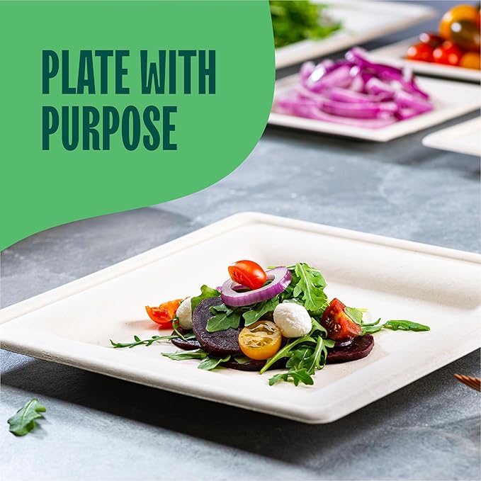 100% Compostable Square Paper Plates - Image 4