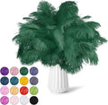 NEWONG 30pcs Dark Green Ostrich Feathers Natural Bulk 8-10inch Vase Craft by NEWONG