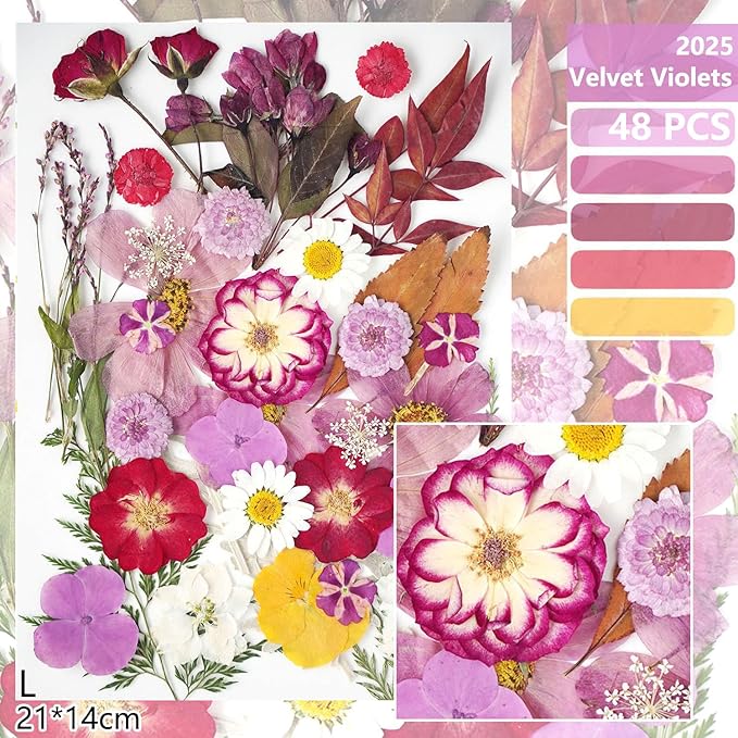 18Types 48PCS Real Dried Purple Pressed Flowers Leaf Plant Herbarium - Image 2