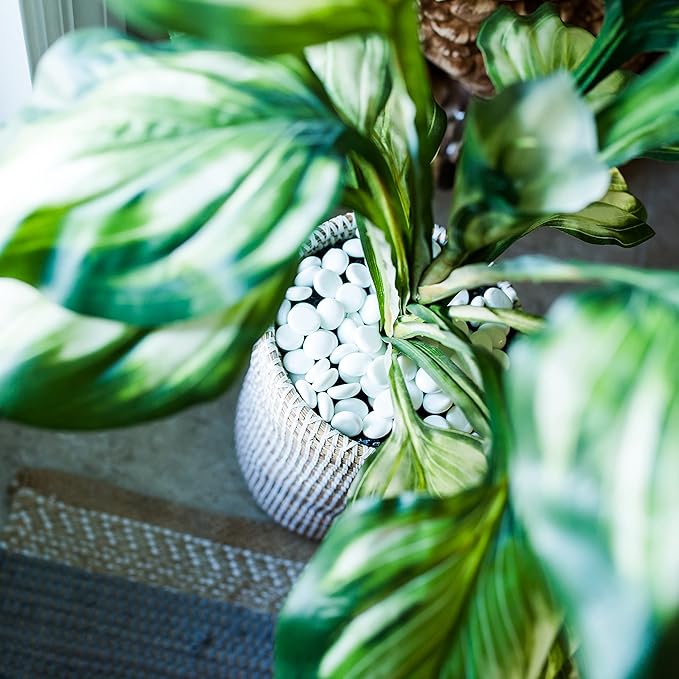 Galashield Flat Glass Marbles for Vases White Glass Gems Beads Pebbles Vase - Image 6