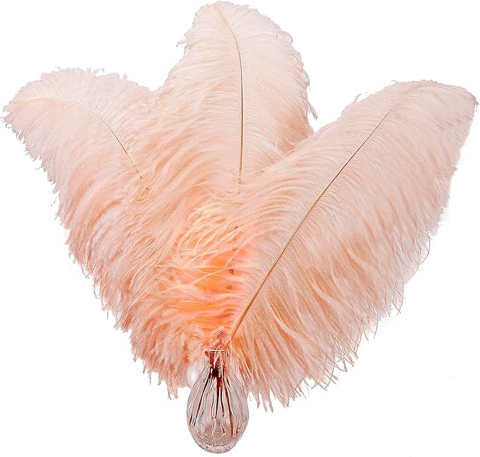 Larryhot 16-18inch Ostrich Feathers Plumas by Larryhot